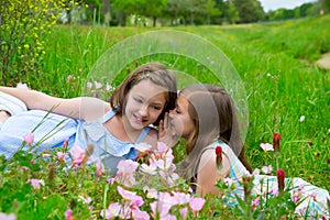 Twin sisters whispering ear on spring flowers meadow