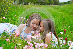 Twin sisters whispering ear on spring flowers meadow