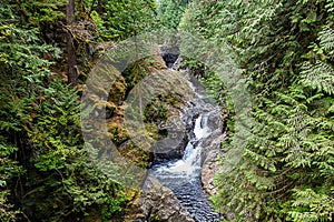 twin tails falls in washington stae summer months with river and woods