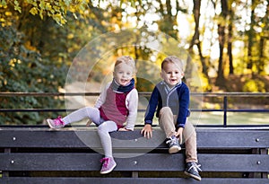 Twin toddler sibling boy and girl sitting on bench in autumn park.