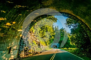 Twin tunnel