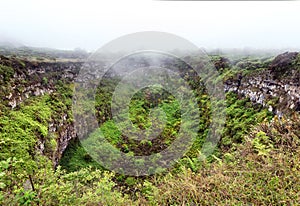 Twin Volcanic Craters on Santa Cruz Island. Ecuador