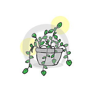 Twiner illustration. houseplant icon on white background. twiner in the pot. hand drawn vector. decorative plant. doodle art for l