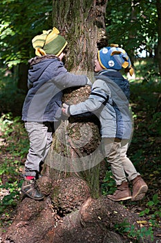 Twins brothers hug a tree