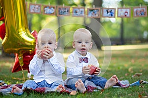 Twins celebrating first birthday