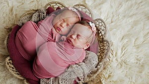 Twins sisters newborn in the winding and in a basket