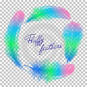 Twirled realistic feathers isolated on a transparent background. Easy style, can be used in flyers, banners, a web. Elements for d