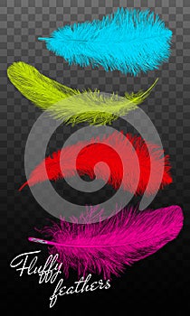 Twirled realistic feathers isolated on a transparent background. Easy style, can be used in flyers, banners, a web. Elements for d