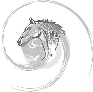 Gray horse swirl on a white backdrop for your creative ideas