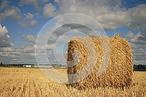 Twist hay in field