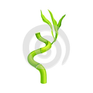 Twisted Bamboo Hollow Stem and Green Foliage Vector Illustration