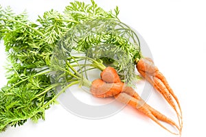 Twisted carrots in white background