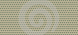 Twisted dollars on a white background