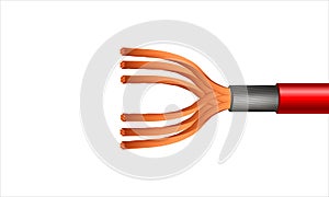 Twisted electric copper cable with red shield structure. 3d Rendering Vector realistic illustration
