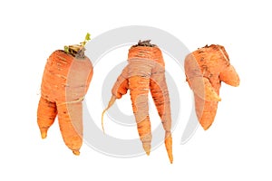 Twisted Misshapen Carrots