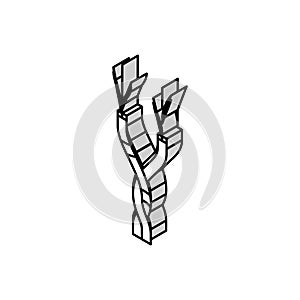 twisted pair cable isometric icon vector illustration