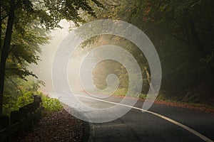 Twisted road through a beautiful forest in the mountains during autumn on a foggy day