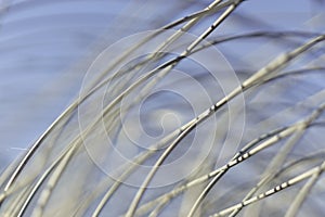 Twisted roll mesh netting