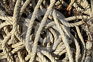 Twisted rope thrown ashore by the Japanese sea after storm.  environmental pollution