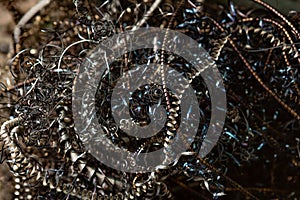 Twisted spirals of metal shavings. Abstract background