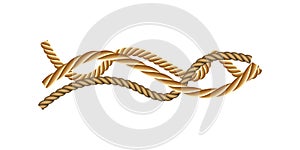 Twisted and straight rope set. Vector design elements