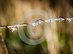 Twisted strand of barbed wire