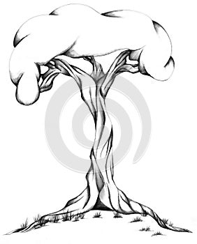 Twisted Tree Illustration