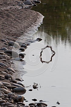Twisted Tree Root in a Stream