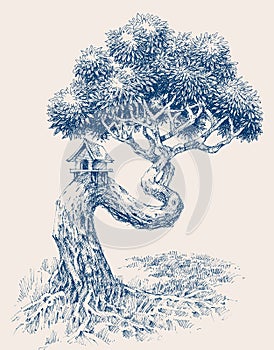 A twisted trunk tree with a bird house drawing