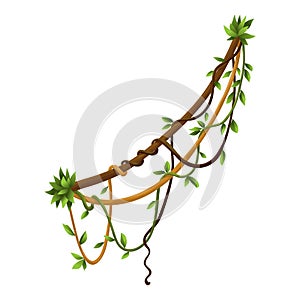 Twisted wild lianas branches banner. Jungle vine plants. Woody natural tropical rainforest