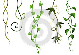 Twisted wild lianas branches set.