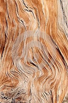 Twisted wood grain