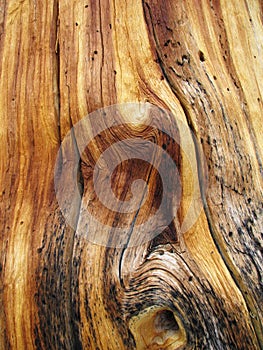 Twisted wood grain