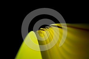 Twisted Yellow Paper Background III