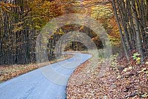 Twisting Autumn road