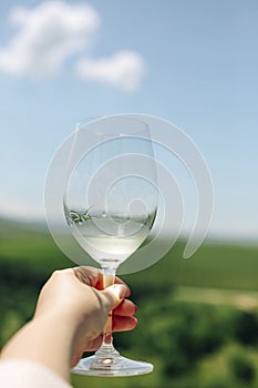 Twisting glass of white wine, vineyard in the background