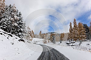 Twisting mountain road