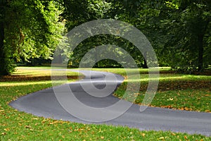 Twisting path road