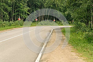 Twisting road between the trees