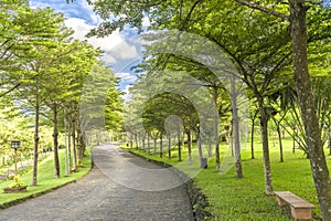 Twisty roads in the park