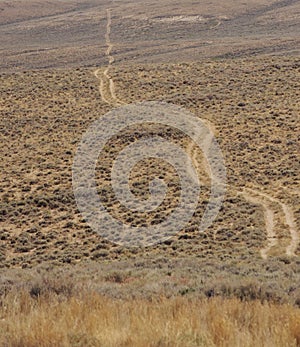 Twisty track road