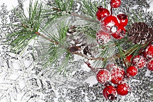 Twiter with holly berries on the silver snowflakes