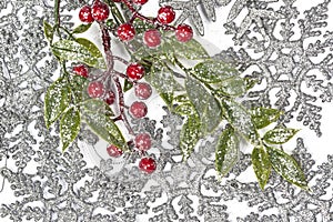 Twiter with holly berries on the silver snowflakes