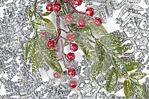 Twiter with holly berries on the silver snowflakes