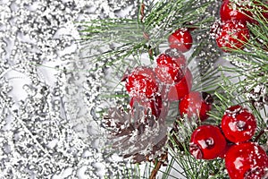 Twiter with holly berries on the silver snowflakes