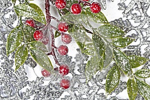 Twiter with holly berries on the silver snowflakes