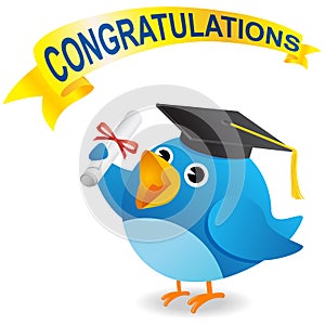 Twitter Bird Graduate photo