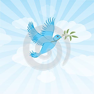 Twitter bird - peace dove photo