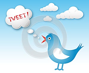 Twitter bird and text cloud with tweet photo