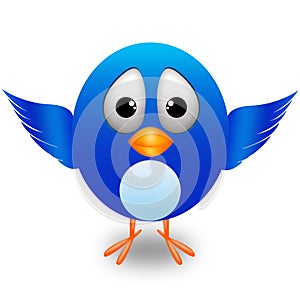 Twitter cute bird